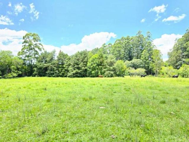 Sítio/Chácara à venda em Três Coroas/RS – Serra Gaúcha | 18 Hectares Ótimo para investidores