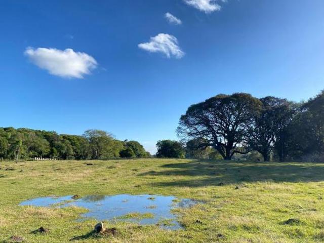 Sítio/Chácara em Três Coroas/RS com 3,5 Hectares com uma vista de Cinema