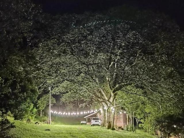 Sítio/Chácara na Cidade Verde Três Coroas/RS na Localidade de Linha Café Alta