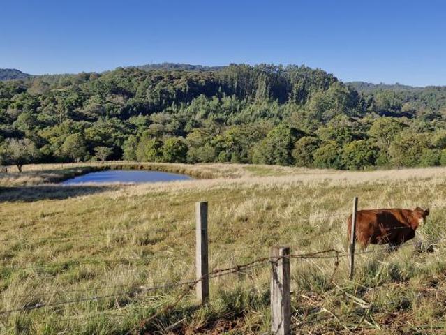 Sítio/Chácara Três Coroas/RS Localidade de Rodeio Bonito Caminho da Serra Gaúcha