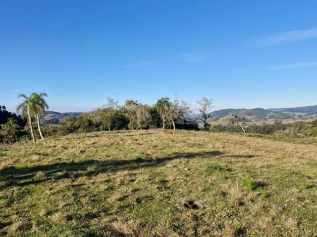 Sítio/Chácara/Fazenda Taquara/RS na Localidade da Linha São João com 42 Hectares