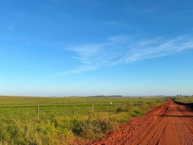 Sítio/Fazenda à Venda, 560,62 alqueires por R$ 56.062.000 Cód. ch2866