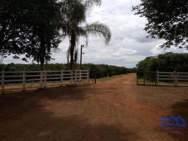 Sítio/Fazenda à Venda, 60 alqueires por R$ 35.000.000 Cód. ch2248