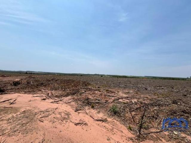 Sítio/Fazenda à Venda, 70 alqueires por R$ 14.000.000 Cód. ch1866