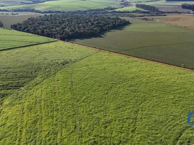 Sítio/Fazenda à Venda, 72,39 alqueires por R$ 15.000.000 Cód. ch2765