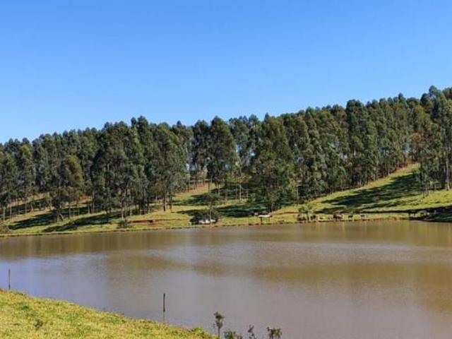 Sítio/Fazenda à Venda, 119,5 alqueires por R$ 30.000.000 Cód. ch2310