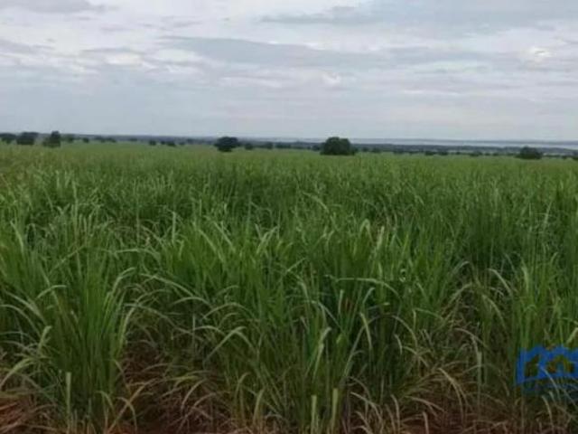 Sítio/Fazenda à Venda, 128,25 alqueires por R$ 35.000.000 Cód. ch2805