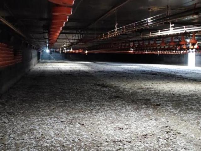 Sítio/Fazenda à Venda, 12 alqueires por R$ 8.000.000 Cód. ch2335