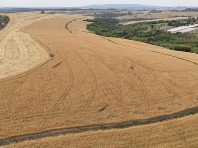 Sítio/Fazenda à Venda, 141,6 alqueires por R$ 35.000.000 Cód. ch2048