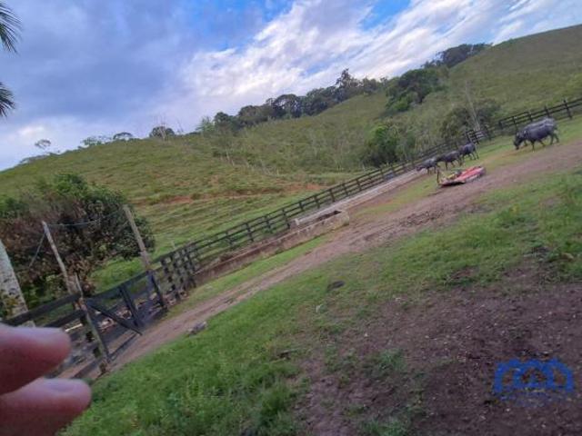 Sítio/Fazenda à Venda, 174 alqueires por R$ 10.000.000 Cód. ch2556