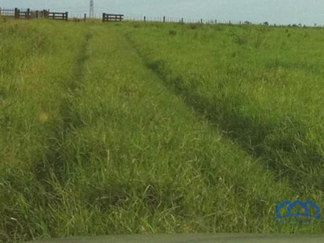 Sítio/Fazenda à Venda, 1.241,51 alqueires por R$ 225.000.000 Cód. ch2767