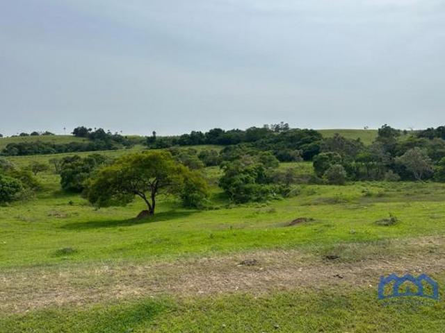 Sítio/Fazenda à Venda, 22,37 alqueires por R$ 3.355.500 Cód. ch2764