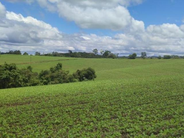 Sítio/Fazenda à Venda, 24,61 alqueires por R$ 7.400.000 Cód. ch2060