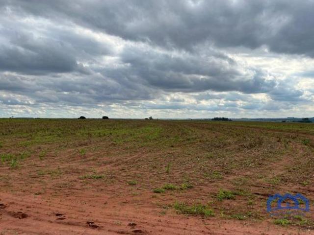 Sítio/Fazenda à Venda, 24,8 alqueires por R$ 5.000.000 Cód. ch2515