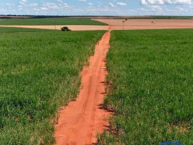 Sítio/Fazenda à Venda, 380 alqueires por R$ 55.110.000 Cód. ch2311