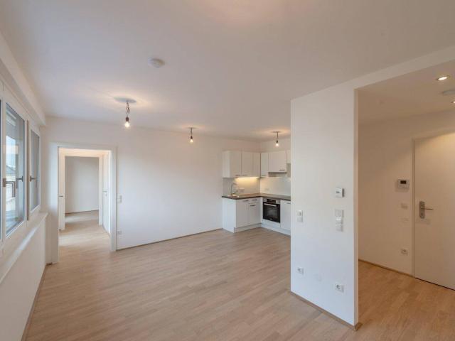 Six in the City: 2 Zimmer Apartment, NEUBAU ZWEITBEZUG, Haus des Meeres, BESTLAGE! optimal für Singles oder Pärchen!