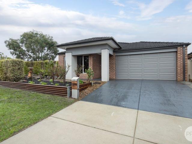 Size, Space, Shedding and Room for the Whole Family in Sought After Yorkdale
