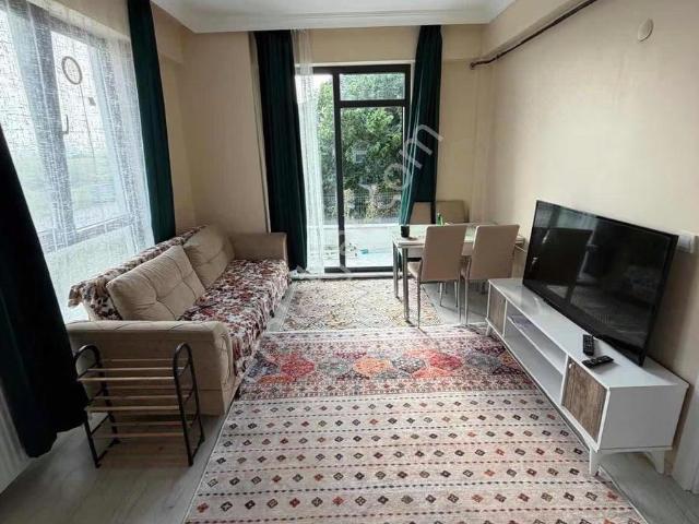 Söğütlü Sıfır, Eşyalı 1+1 Daire Satılık Veya Kiralık