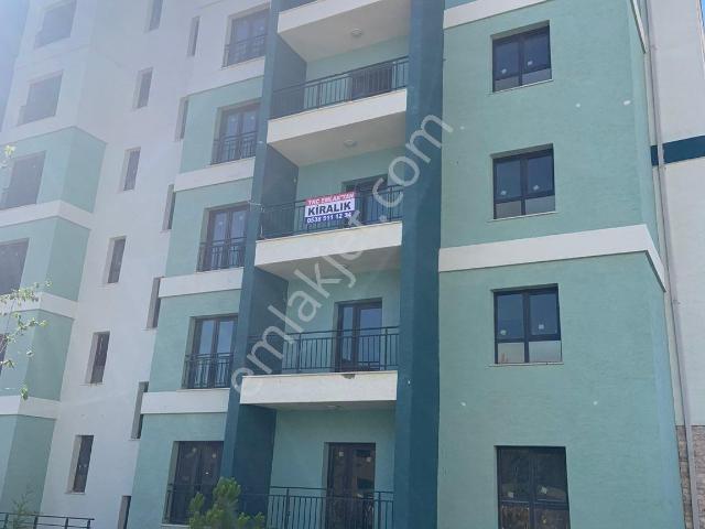 Söğütlü Toki 2+1 Kiralık Doğalgazlı Daire