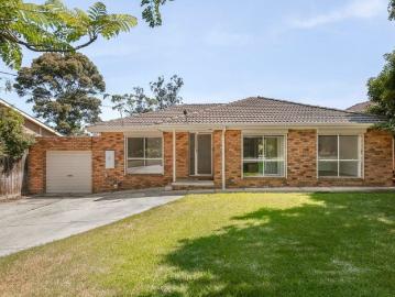 So Many Features in a Prime Village Locale!