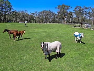 Somersby Paddock A Perfect Country Retreat on 36 acres