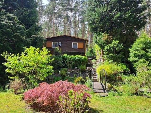 Sommer 2026 im eigenen Freizeitbungalow in ruhiger, idyllischer Waldlage von Coswig Möllensdorf