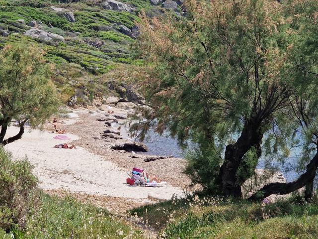 SOMPTUEUSE PROPRIÉTÉ PIEDS DANS L'EAU, MARINE DE DAVIA 20256 CORBAR