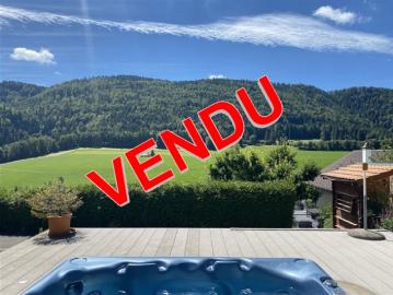 Sonvilier, hübsches Haus von 5,5 Stück mit Garage, Jacuzzi, Aufzug