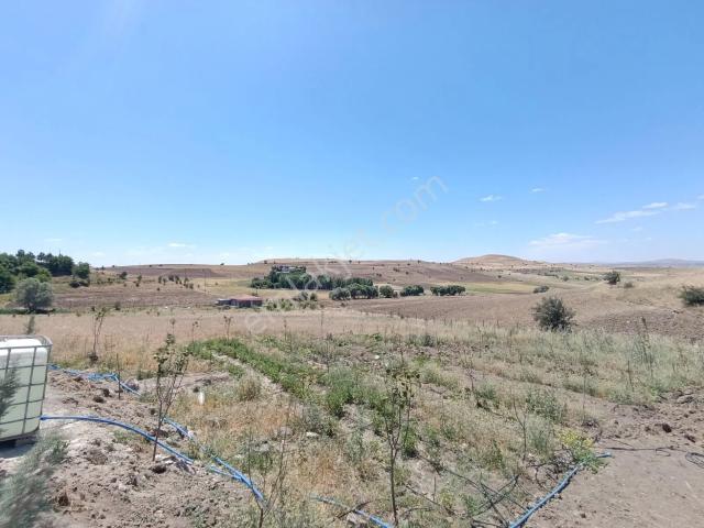 Sondajlı Ağaçlı 12.500 M2 Arsa İçinde Satılık 3+1 Villa