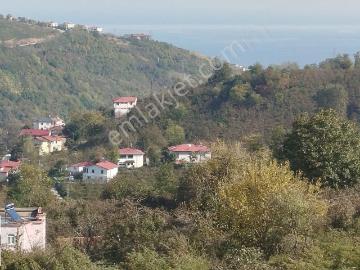 Perşembe, Ordu'da satılık Villa