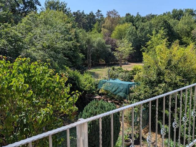 Sonnenverwöhnte 4 Zimmer Wohnung mit EBK am Waldrand von Dreieich Dreieichenhain