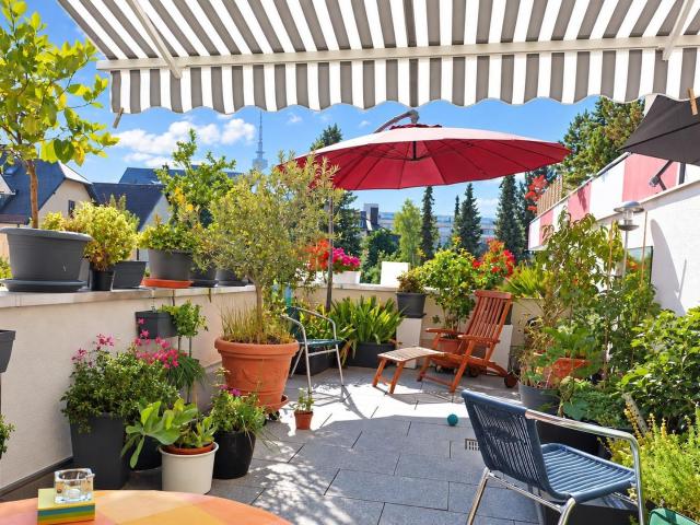 Freundliche Sonnenwohnung viel Licht und Luft ideal für 1 2 Liebhaber durchdachter Gestaltung