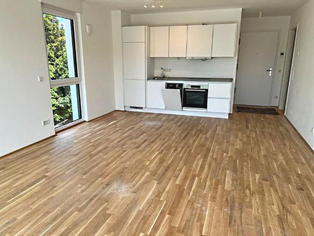 Sonnen Terrassen Wohnung in Mörsenbroich