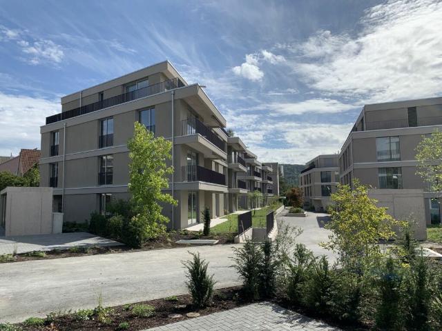 Sonnendurchflutete 3.5 Zimmer Attika Wohnung sucht neuen Mieter