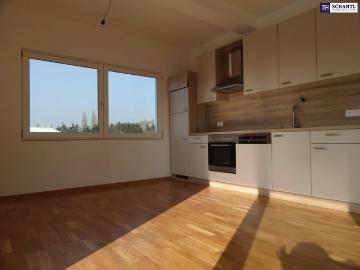 Wohnung zur Miete in 4252 - Parkplatz, Heizung
