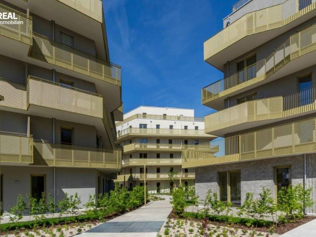 Sonnenlage trifft Wohnkomfort – 3 Zimmer mit großzügiger Südwest Terrasse