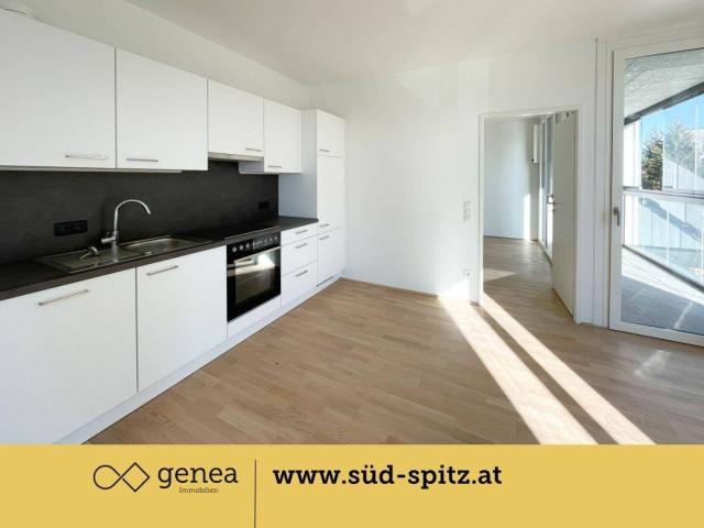 Sonnenseitiger Studententraum | SÜD SPITZ