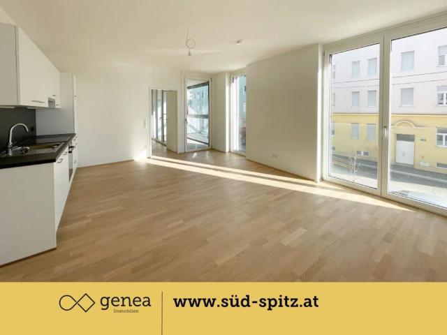 Sonnenseitiger Studententraum | SÜD SPITZ