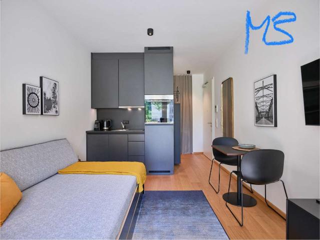 Sonnig ruhig 1 Zimmer mit Terrasse an der Isar / 1 room apartment sunny calm modern close to Isar