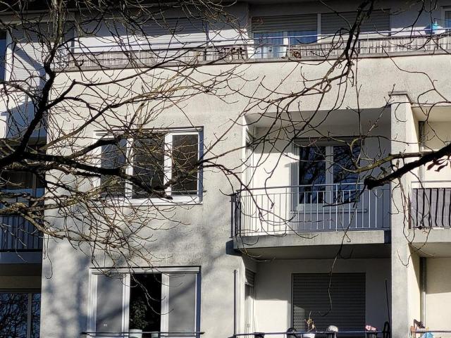 Sonnige neu renovierte freie 2 Zi.Whg 2.OG zum Kastanienpark