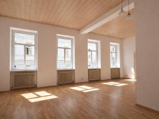 Sonnige, bezugsfertige Altbauwohnung mit zahlreichen Gestaltungsmöglichkeiten!