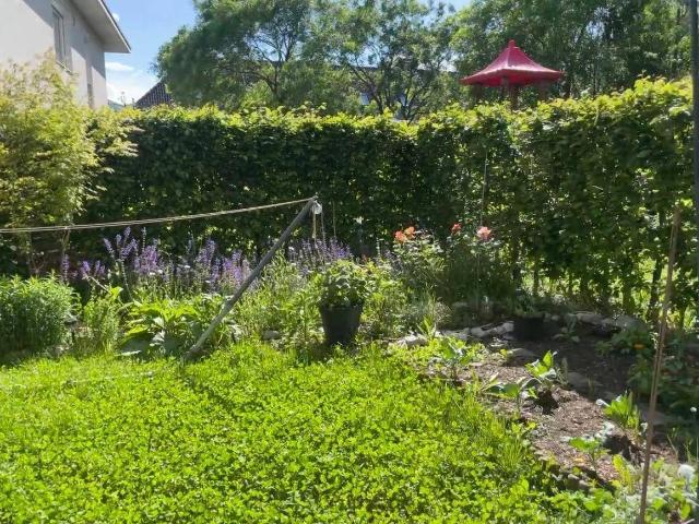 Sonnige Gartenwohnung in Absam zu vermieten!