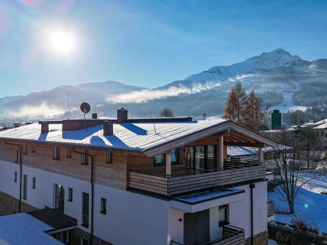 Sonnige Penthouse Wohnungen mit Alpenpanorama 06582