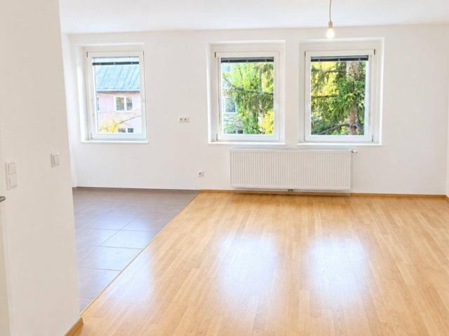 Sonnige, teilsanierte 2 Zimmer Wohnung mit traumhaftem Grünblick!