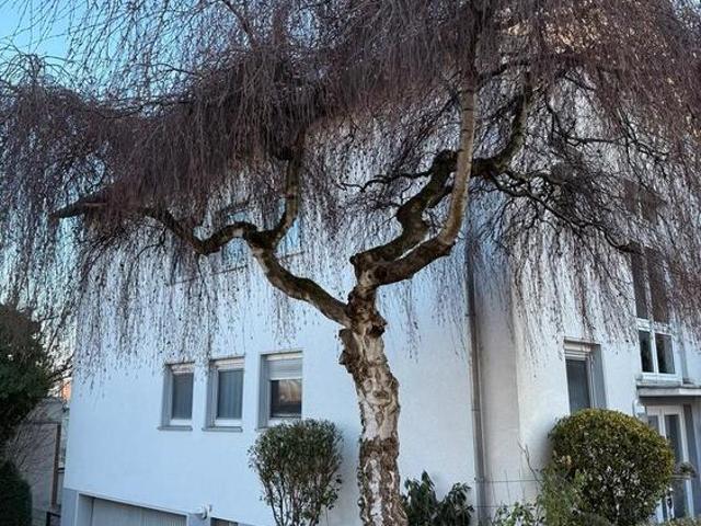 Sonnige Wohnung 1.Stock mit separatem ausgebautem DG DO Süd