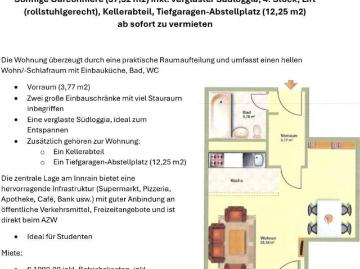 Sonnige zentrale Garcionnere incl TG Abstellplatz u Südloggia