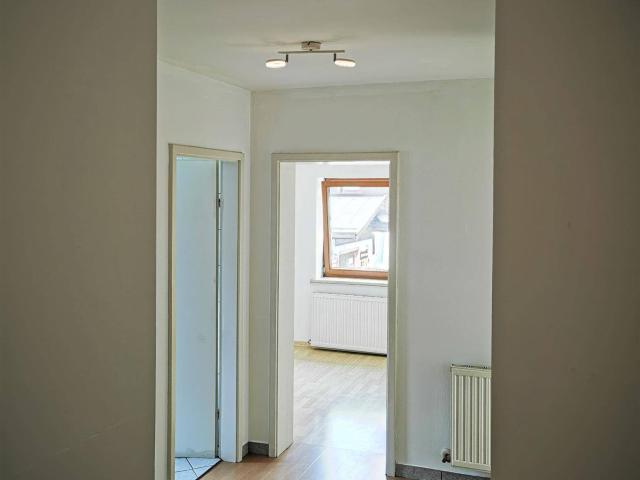 Sonnige zentrale Wohnung zu vermieten!