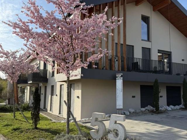 Sonnige 1,5 Zimmer Wohnung mit großem Balkon