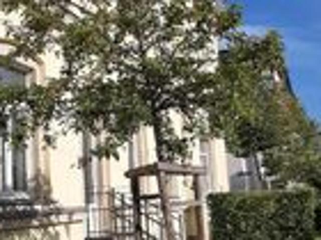 Sonnige 2 Zi. Whg. mit Terrasse & eigenem Gartenanteil in Striesen / ab sofort