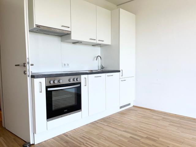 Sonnige 2 Zimmer Wohnung mit Loggia und herrlichem Ausblick 1.Monat mietfrei 8020 Graz